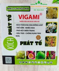 kích phát tố , kích thích ra hoa đồng loạt