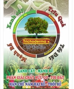 nấm đối kháng Trichoderma bổ sung humic , fulvic , azotobacter túi 1kg