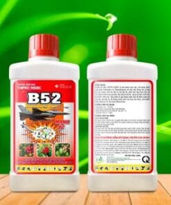 Thuốc trừ sâu B52  đặc trị rệp sáp