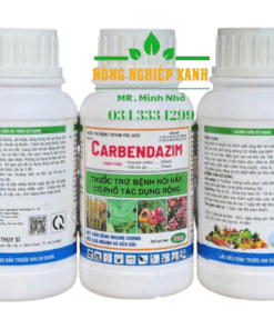 đặc trị bệnh thán thư ớt , bã trầu chanh dây