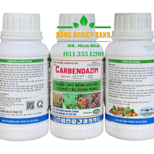 đặc trị bệnh thán thư ớt , bã trầu chanh dây