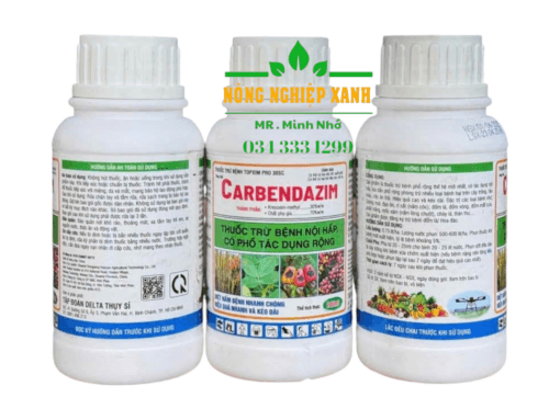 đặc trị bệnh thán thư ớt , bã trầu chanh dây