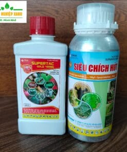 Cặp đôi đặc trị rệp sáp, mọt đục cành cà phê