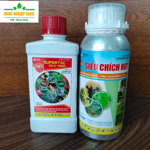 Cặp đôi đặc trị rệp sáp, mọt đục cành cà phê