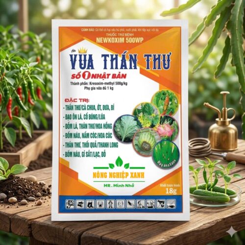 Vua thán thư 500wp