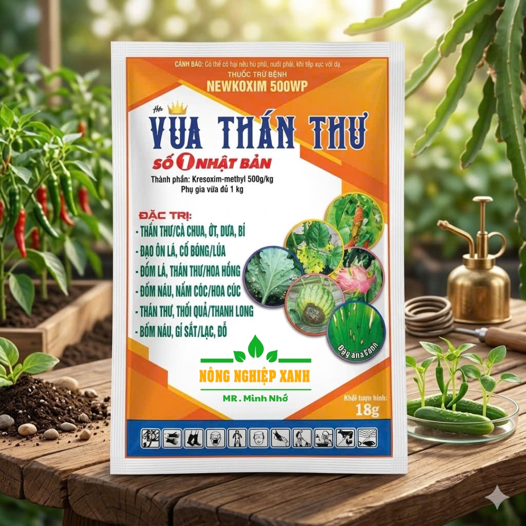 Vua thán thư 500wp Vua thán thư 500wp