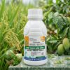 AVIAL 660SC  đặc trị thán thư, nấm bã trầu trên chanh dây