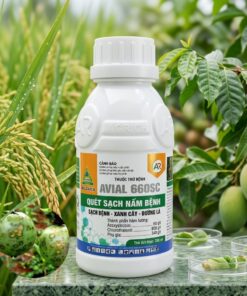 AVIAL 660SC  đặc trị thán thư, nấm bã trầu trên chanh dây