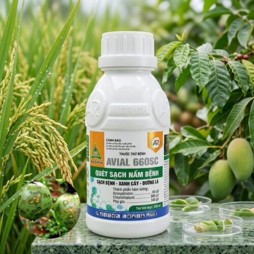 AVIAL 660SC  đặc trị thán thư, nấm bã trầu trên chanh dây