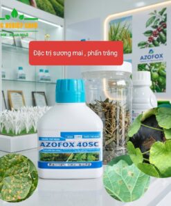 Azofox 40sc , đặc trị sương mai, phấn trắng Azofox 40sc , đặc trị sương mai, phấn trắng